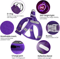 PceoTllar Light Up Dog Harness, LED No Pull Reflective Dog Harness, Flashing Lighted for Night Walking - Small/Medium, (Purple,XS)