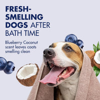 Arm & Hammer Deodorizing Dog Shampoo - Blueberry Coconut / 32 Fl Oz (Pack of 1) - image 3