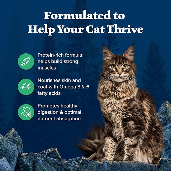Blue Buffalo Wilderness Healthy Adult Dry Cat Food, Supports Health and Wellness, High-Protein & Grain-Free, Duck, 11-lb Bag