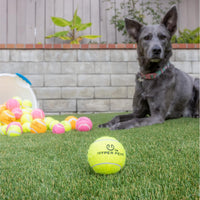 Hyper Pet Mini Extra Small Tennis Balls for Dogs - Green / Regular 2.5" - 4 Pack - image 3