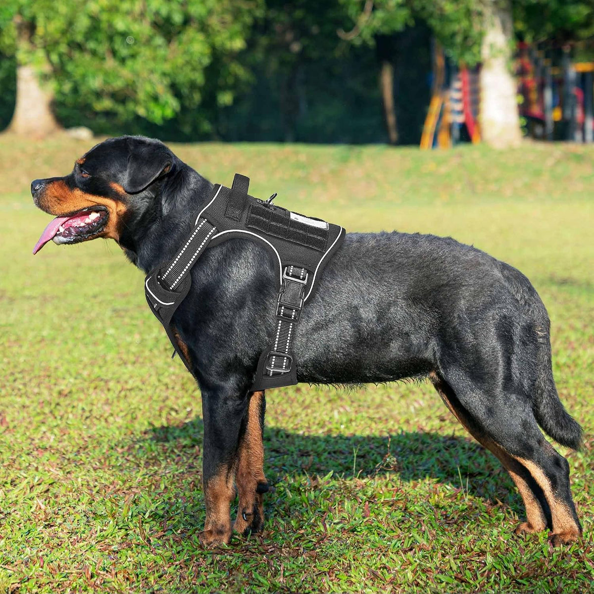 Beebiepet Tactical No Pull Dog Harness with Leash - Black / Large - image 2