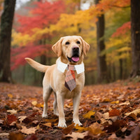 ADOGGYGO Fall Dog Neck Tie - Large / Orange-2 - image 2