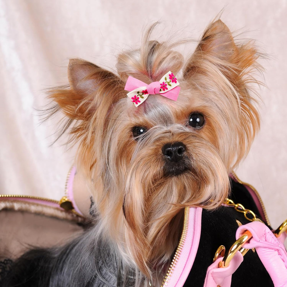 20Pcs Brown Dog Hair Bows with Rubber Bands for Small Medium Dogs – Essentials for Dogs - Light Pink-A331 - image 3