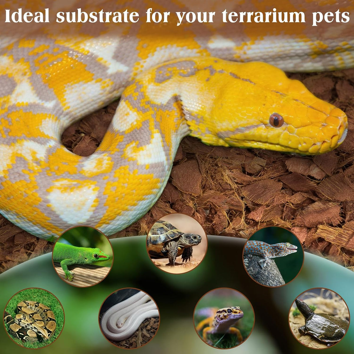 10LBS Coconut Husk Chip Substrate for Reptiles - 1 Pack-10 LBS - image 4