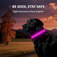 LED Dog Collar with Metal Buckle - USB Rechargeable Glow Collar for Dogs, Waterproof Light Up Dog Collar w/Reflective Strips - Adjustable Night Safety Collars by PetIsay(Pink,Large)