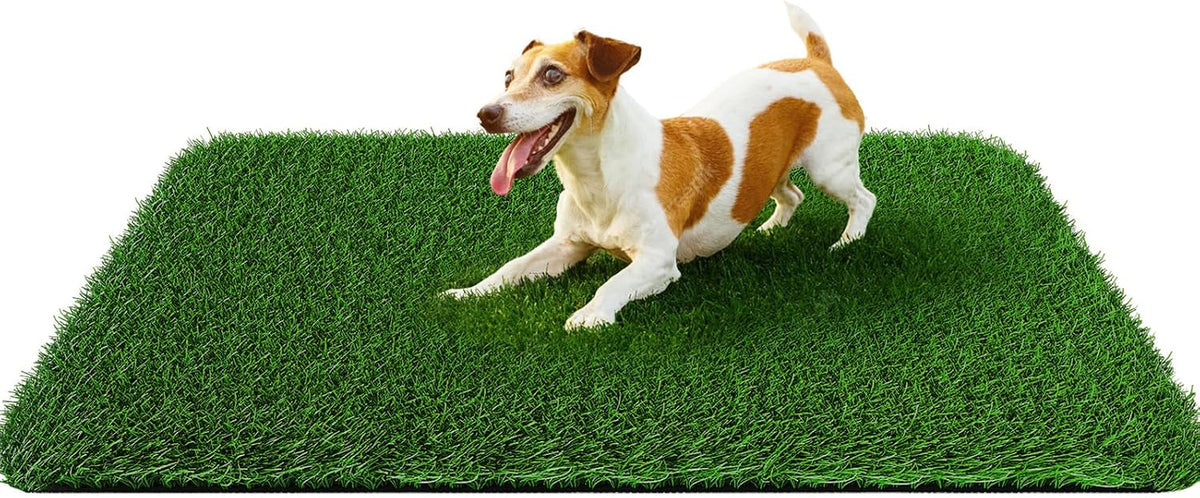 Fake Grass Pad for Dogs Potty Training Artificial Turf - 48x32 Inch / Green