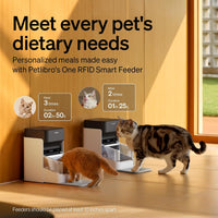PETLIBRO RFID Automatic Cat Feeder - White / 3L*2 Packs - image 2