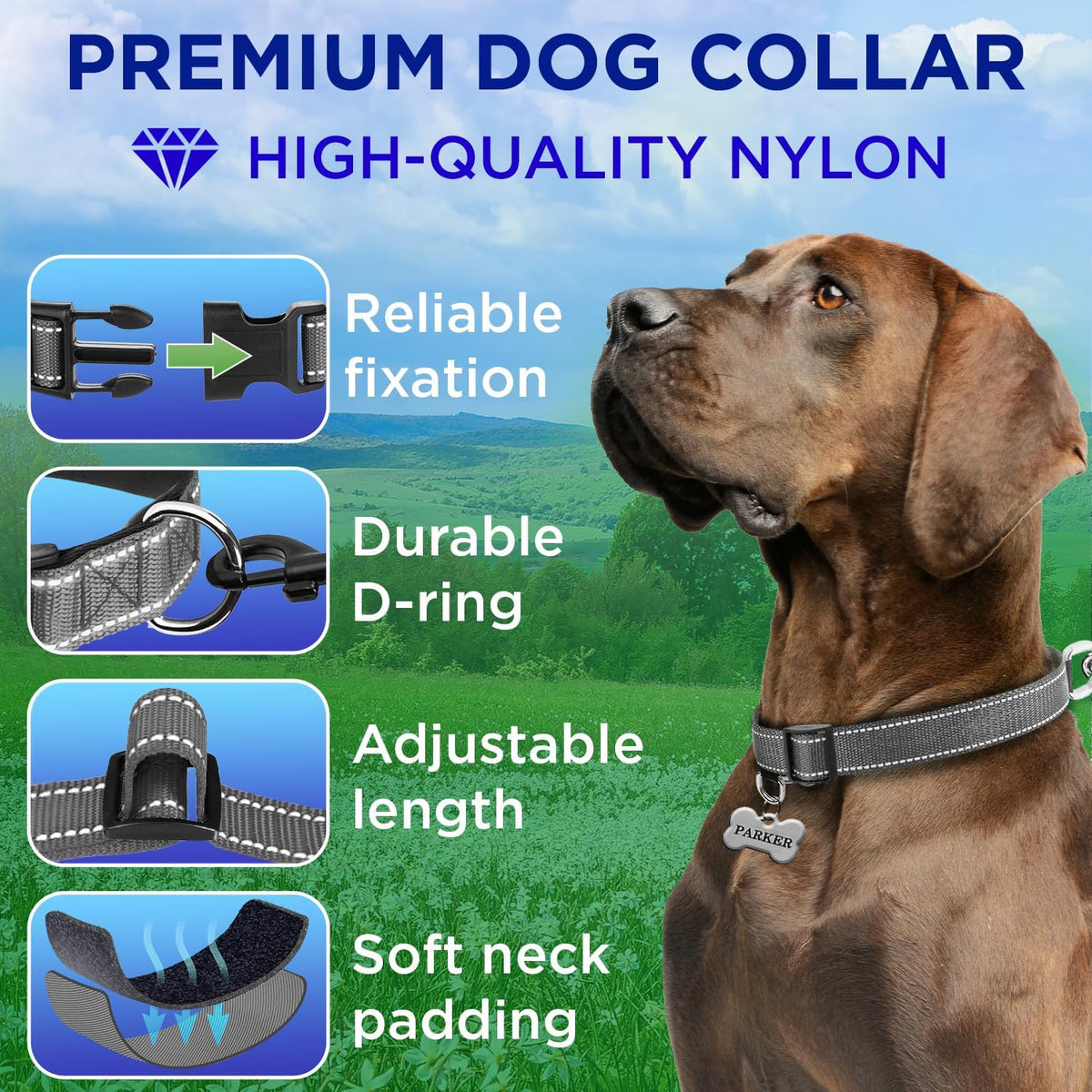 Reflective Neoprene Padded Dog Collar with Quick Release Buckle – Essentials for Dogs - Gray / XX-Small - image 2