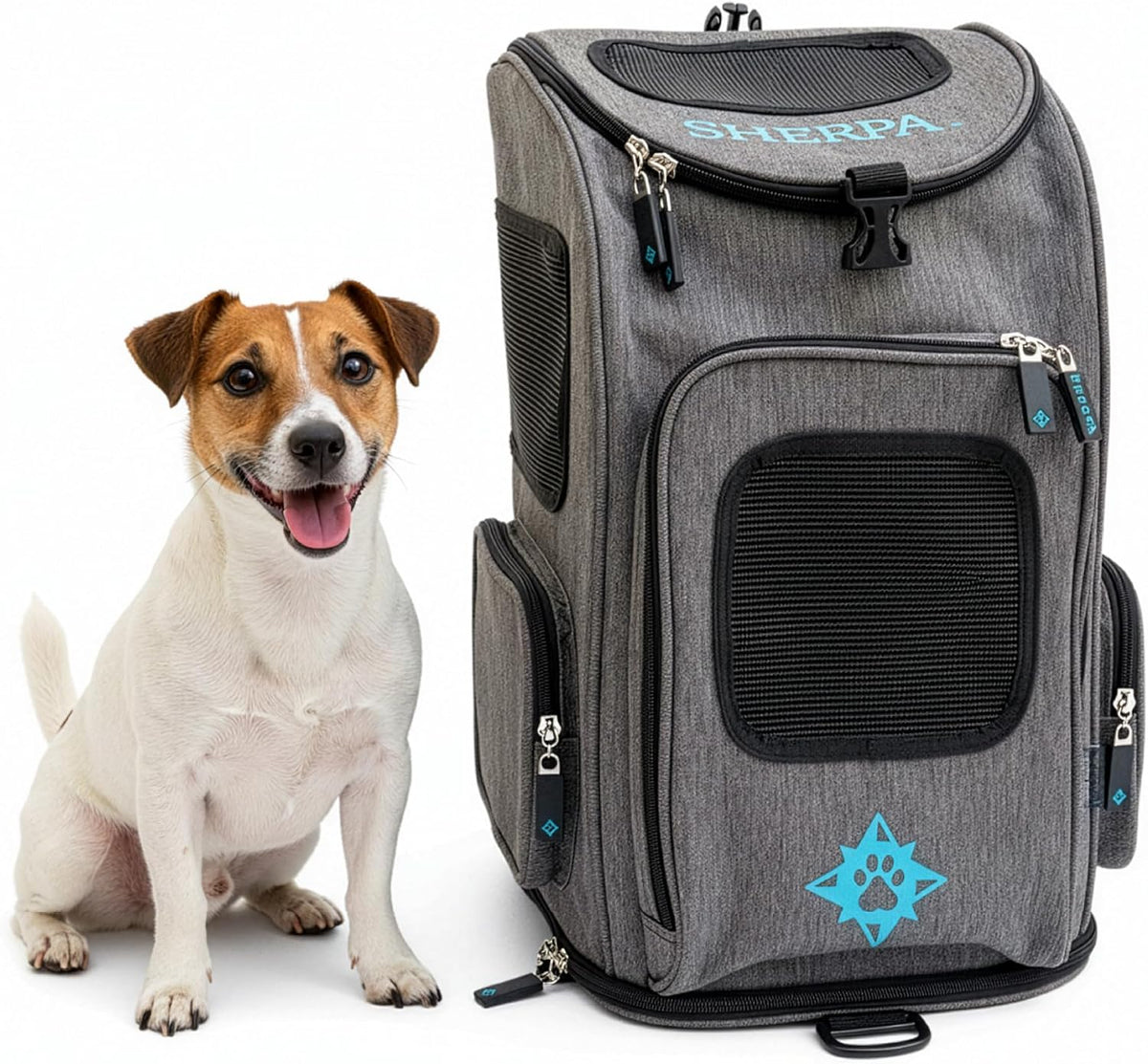 Sherpa 2-in-1 Medium Pet Backpack & Carrier - Duffel Pet Backpack / 17.0"L x 10.5"W x 11.0"H