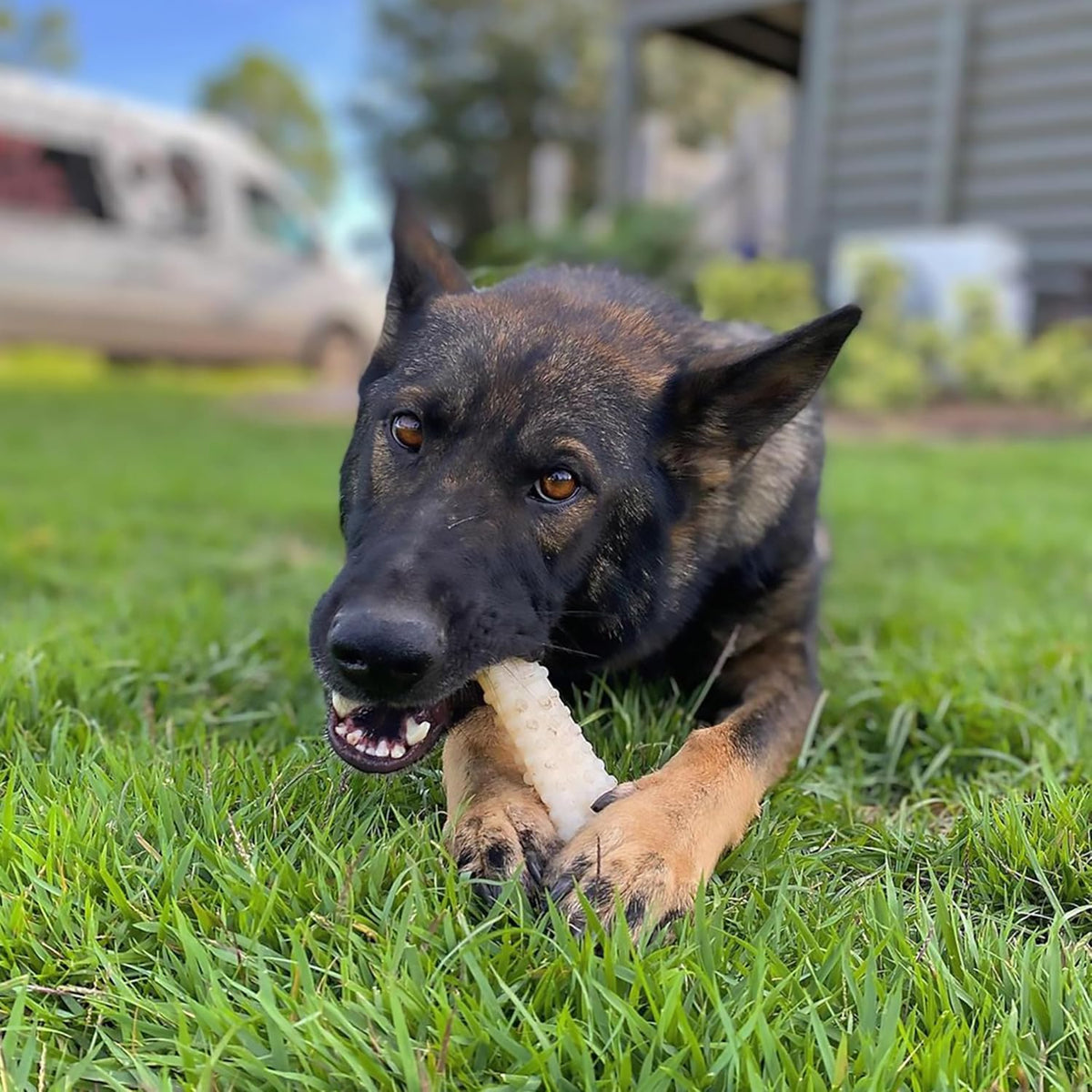 Nylabone Power Chew Original Bone Dog Chew Toys - Bacon & Chicken / X-Large - image 2