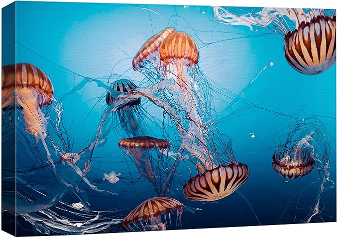 wall26 Canvas Print Wall Art Tiger Stripe Jellyfish Underwater Ocean Sea Nature Animals Photography Realism Rustic Scenic Landscape Wilderness Colorful for Living Room, Bedroom, Office - 16"x24"