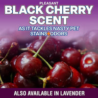 OdorPet Pet Stain Remover and Odor Eliminator - 16 Oz Ready To Use Spray, Non Staining, Professional Strength, Black Cherry Scent by Alpha Tech Pet