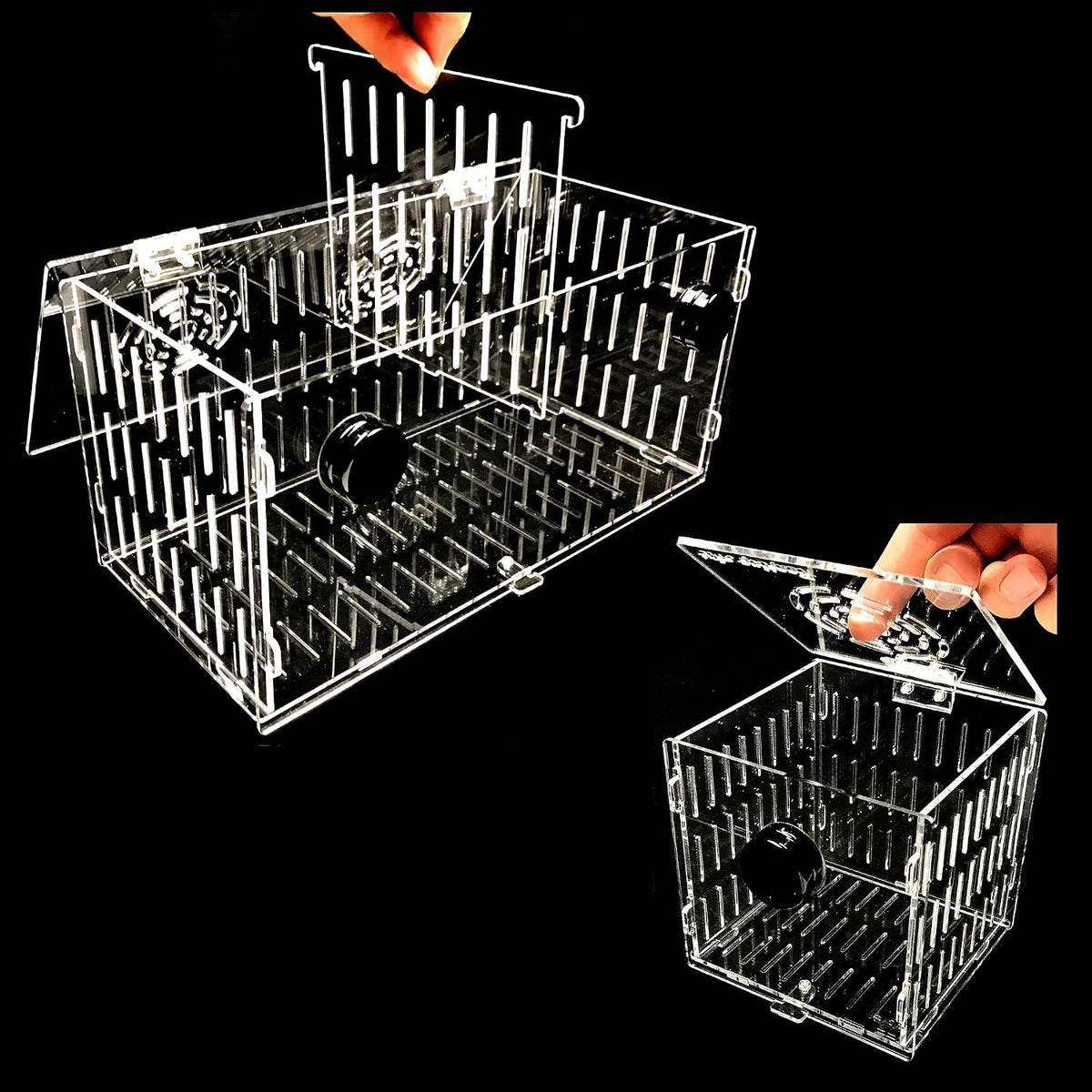 Magnetic Acclimation Box Fish Breeder Nursery Isolation Tank – Essentials for Fish - 4.5" Cube