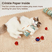 Potaroma Cat Toys US-Dollar Catnip Crinkly Sound Toy, Mesh Fabric for Teeth Cleaning, Interactive Kicker Toys for Indoor Kitten Exercise 6.0 Inches for All Breeds