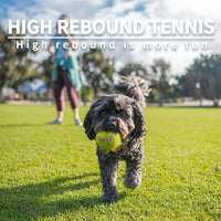 All for Paws Interactive Hyper Fetch Super Bounce Tennis Balls Dog Toy - Ball*6(2 inch) - image 2