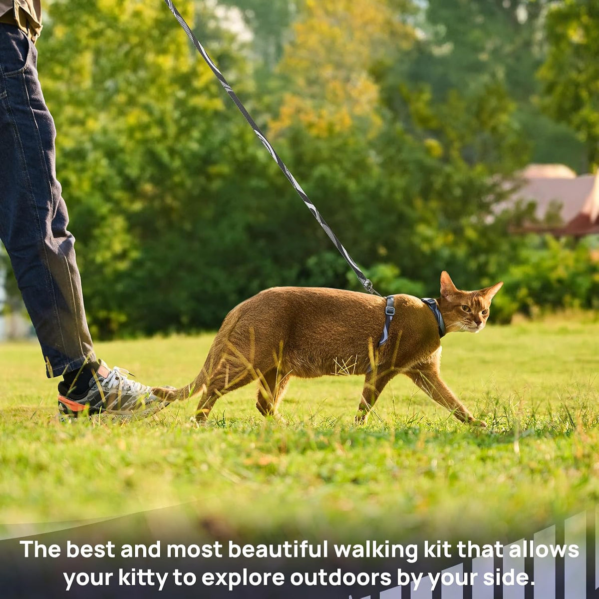 Adjustable Cat Harness and Leash Set Escape Proof – Essentials for Cats - Brooklyn Grey, Adjustable - image 2