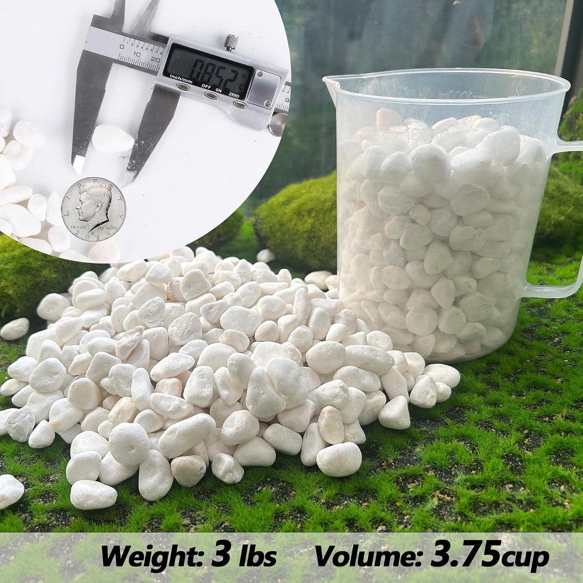 45lb White Rocks for Plants, Potting - 3LB / White - image 2