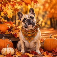 50 Pcs Halloween Dog Bandanas Bulk - 25.6 x 17.7 x 17.7 Inch / Fall Plaid / 100 - image 4