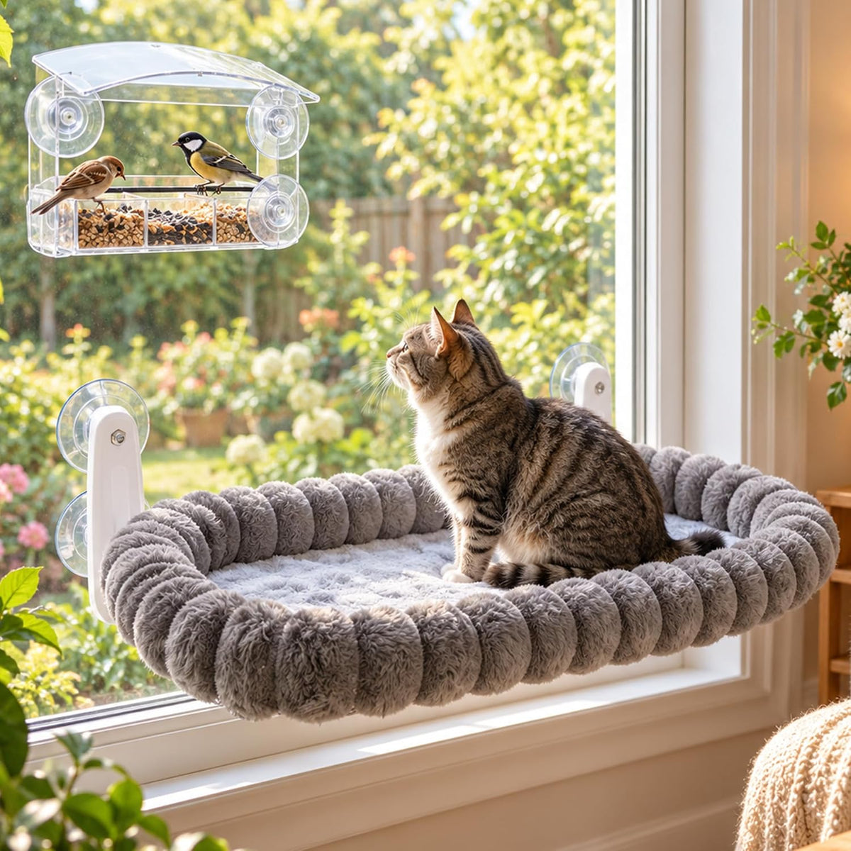 Cat Window Perch with Bird Feeder - M