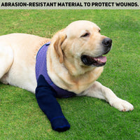 COODEO Dog Socks to Prevent Licking Paws - XL_Right / Purple - image 2