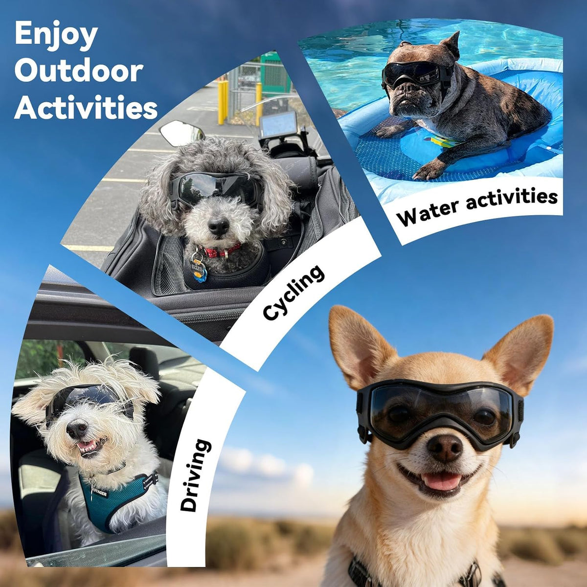 Dog Sunglasses for Extra Small Breed UV Protection Windproof XS Dog - Small / Black - image 4