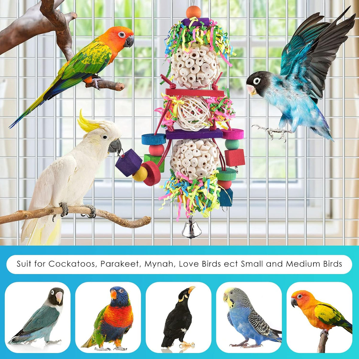 Bissap 2PCS Conure Toys, Foraging Bird Chew Sola Balls Toy for Small Parrot – Essentials for Birds - 1 PCS (Pack of 2) - image 3