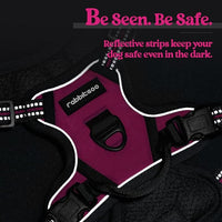 rabbitgoo Dog Harness No Pull with 2 Leash Clips, Adjustable Soft Padded, Reflective Oxford No Choke Pet Vest with Easy Control Handle for Puppy, Hot Pink, XS