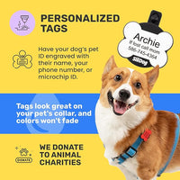SiliDog AirTag Holder Silent Dog ID Tag – Personalized Engraved Silicone Pet Tag – Durable, Glow-in-The-Dark – Blue Bone