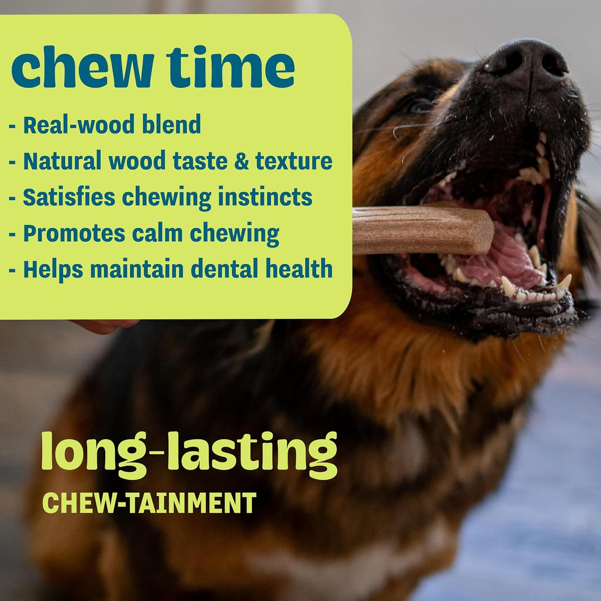 Super Dogwood Stick Dog Chew Toy, Made in USA, 11" - Large (Pack of 1) - image 3