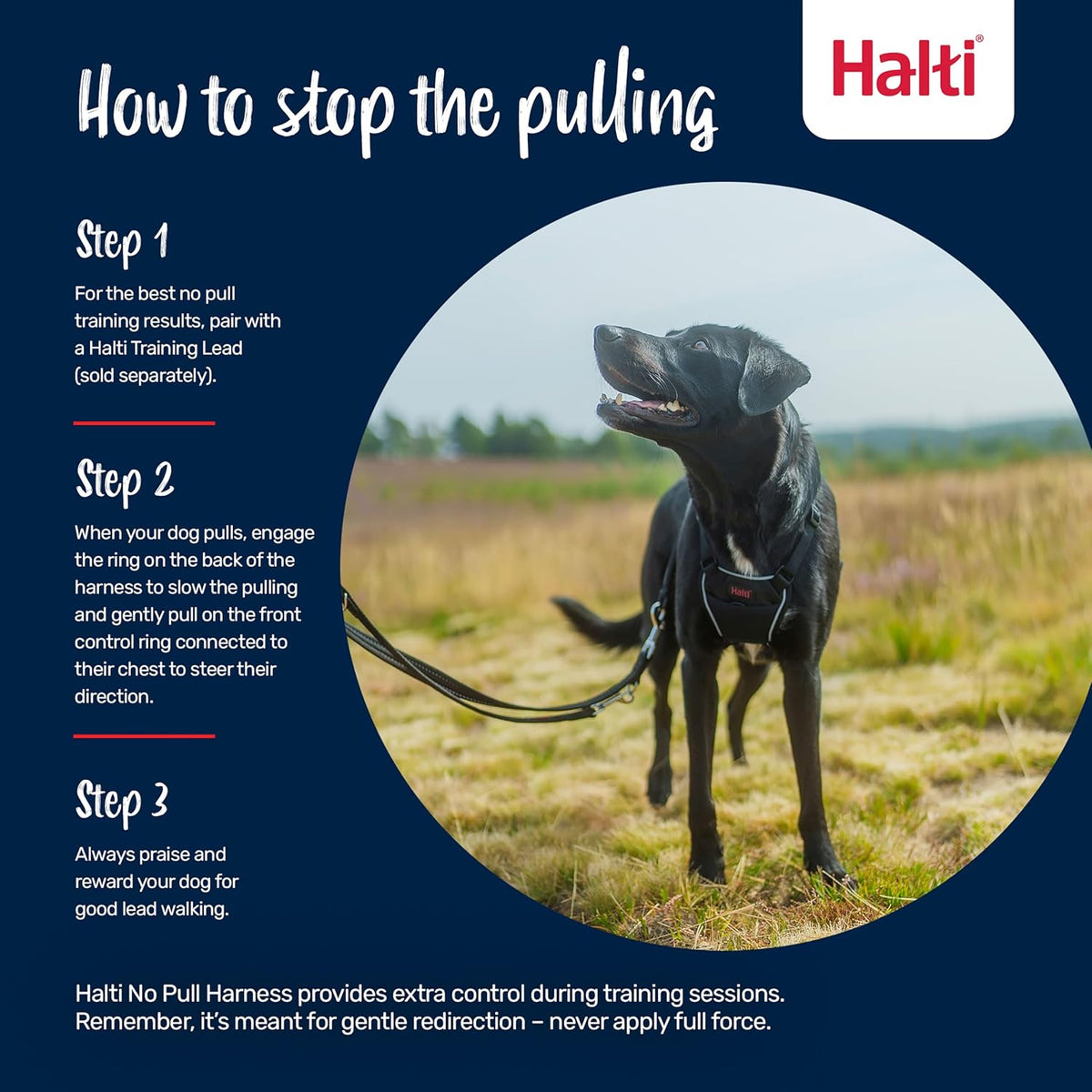 Halti No Pull Dog Harness, Size M - Black / S - image 4