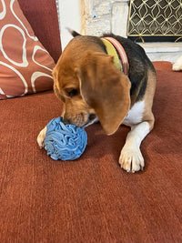 Puppy and Small Breed Snuffle Interactive Foraging Dog Puzzle Ball Toy Blue Small