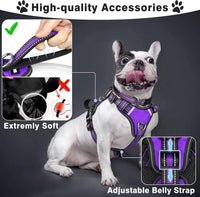 WINSEE Pet Harness Collar and Leash Set - X-Large / Purple - image 2
