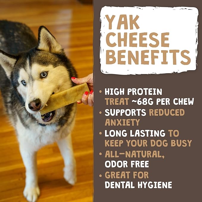 Mighty Paw Yak Cheese Chews for Dogs | All-Natural Long Lasting Pet Treats. Odorless and Great for Oral Health. Limited-Ingredient Chews for Puppies & Power-Chewers (Small, 5 Pack)