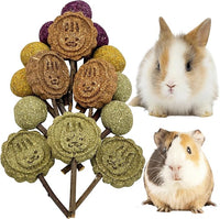 Fhiny Rabbit Chew Toys, 15 PCS Natural Bunny Lollipop Chew Sticks Handmade Guinea Pig Molar Treats for Teeth Small Animals Snacks for Guinea Pig Bunny Chinchilla Hamster Gerbil Teeth Care