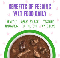 Weruva B.F.F. OMG - Best Feline Friend Oh My Gravy!, Tuna & Lamb Lights Out with Tuna & Lamb, 2.8oz Can (Pack of 12)