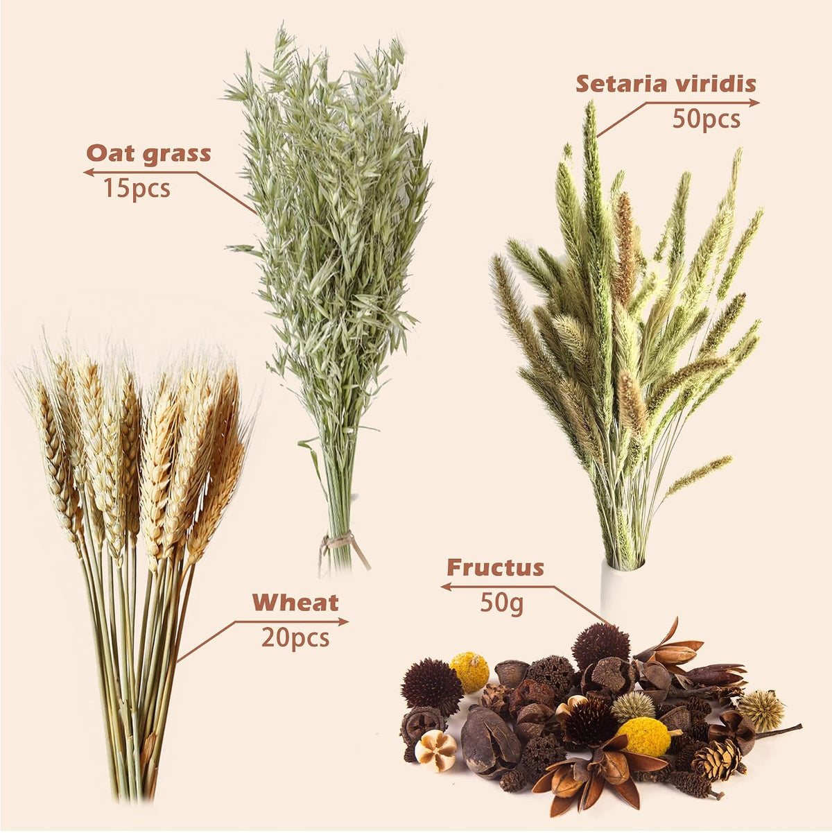 Natural Ear of Grain Flower&Herb Bedding Mate Habitat Decor - Wheat - image 2