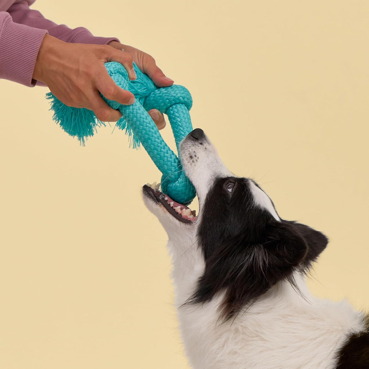 Playology Tug Rope Dog Toys for Large Dogs, Peanut Butter Scent - Jumbo / Peanut Butter - image 3
