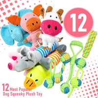 12 Pack Dog Squeaky Toys, Interactive Plush Chew Toys with Rope – Essentials for Dogs - image 2