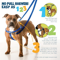 2 Hounds Design Freedom No Pull Dog Harness and Leash, 1" LG - Red / 1" MD (Chest 24" - 28") - image 3