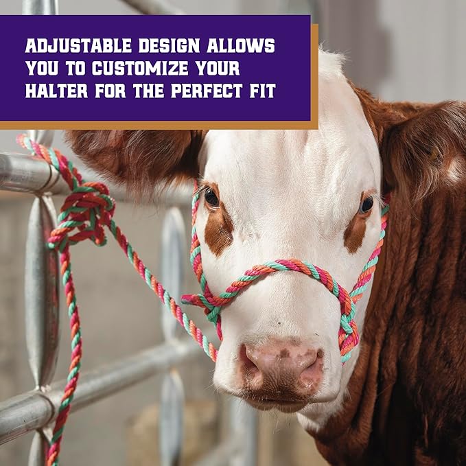 Weaver Livestock Braided Poly Rope Cattle Halter, Adjustable Style Cow Calf Halter, Livestock Handling Equipment for Showing, Hot Pink/Coral/Mint