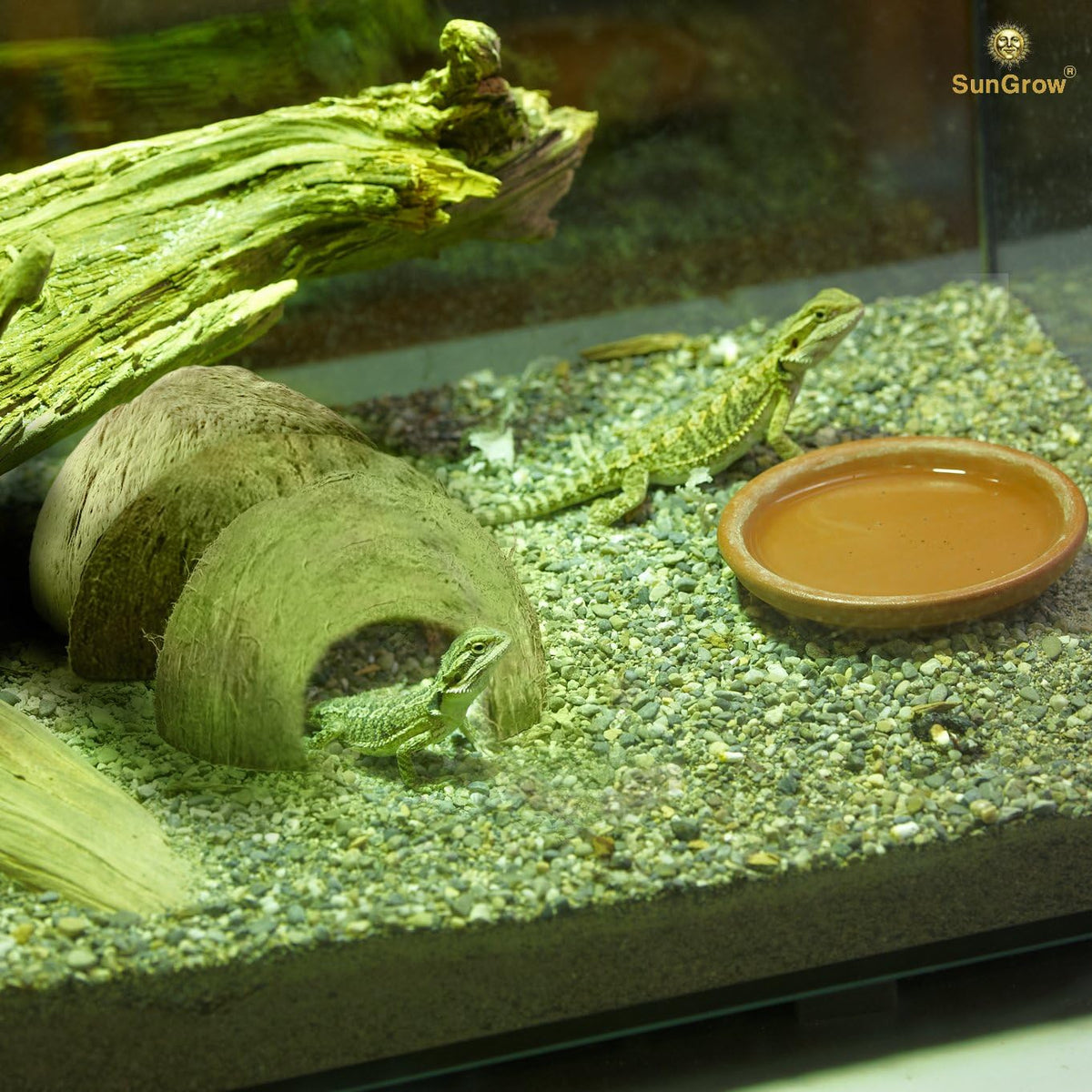 SunGrow Hermit Crab Coconut Cave - image 4