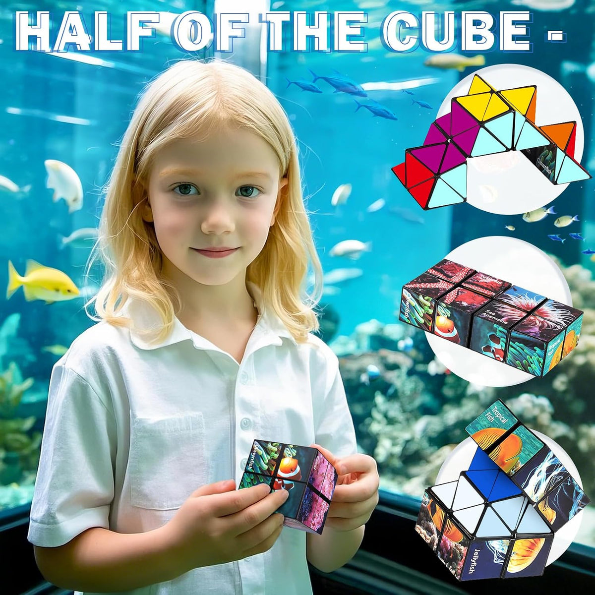Euclidean Cube Fidget Toys for Kids 2 in 1 Star Cube Magic Cube - Ocean Series - image 4