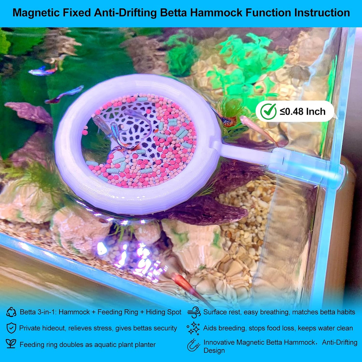 2pcs Wood Fish Feeding Ring for Aquarium，Floating Betta Hammock - Solid White / 1pcs big magnetic version - image 3