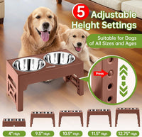 EliteField Elevated Dog Bowls - 2 Stainless Steel Bowls / Brown - image 2