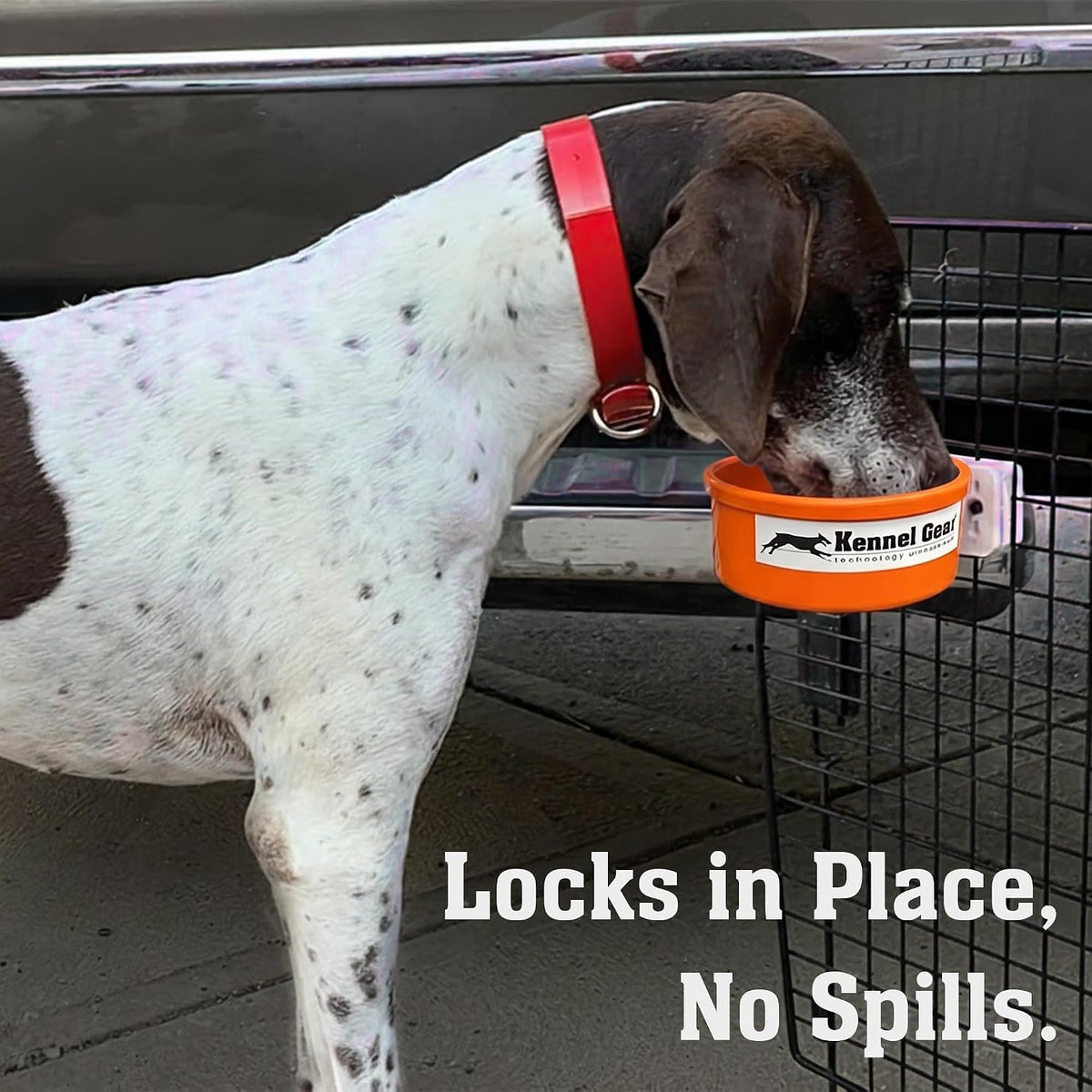Dog Crate Water Bowl No Spill - Orange - image 2