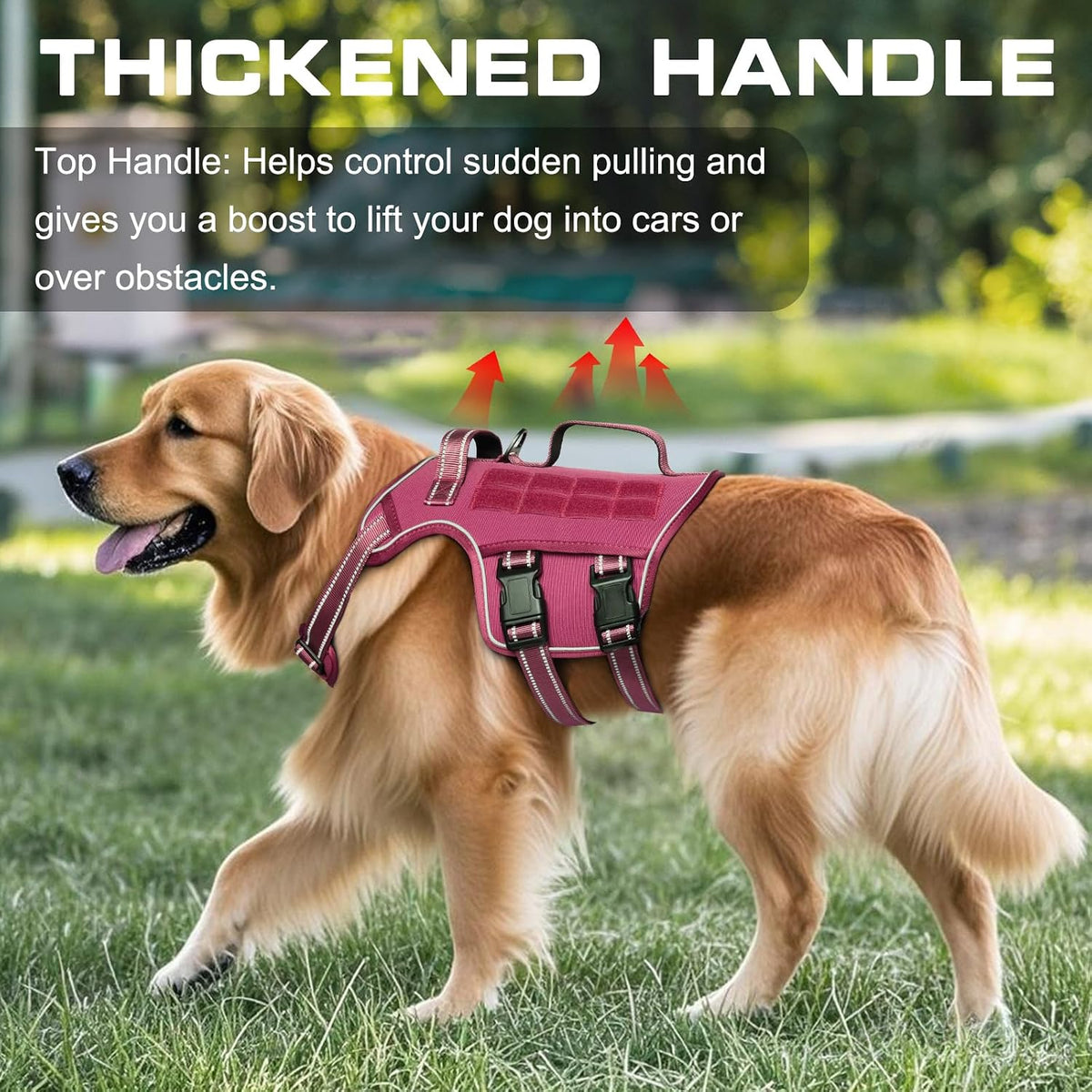 Dog Harness for Large Dogs - Pink / M(Neck:17-23",Chest:22-32"),35-50 lbs - image 2