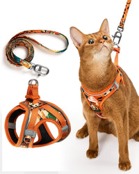 Upgraded Cat Harness and Leash Set - Orange King of The Jungle / L
