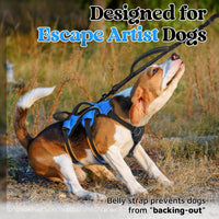 rabbitgoo Escape Proof Dog Harness for Large - Blue / Small - image 2
