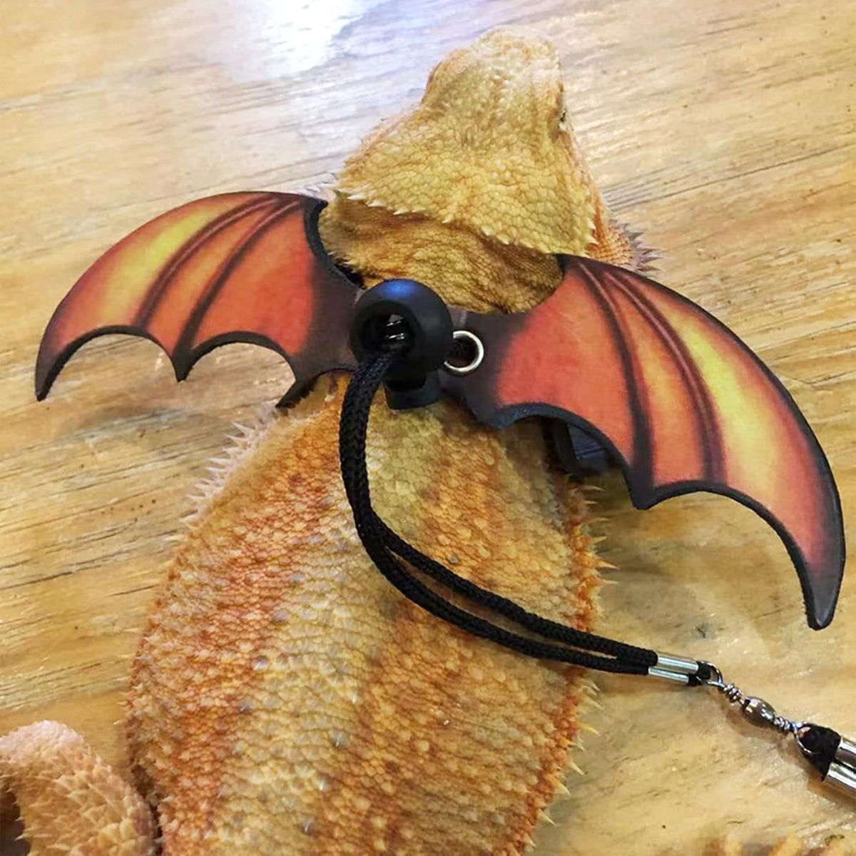 Bearded Dragon Lizard Leash Harness, 3 Size Pack, Orange – Essentials for Small Pets - image 2