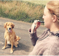 210.5 Orange high tone dog whistle with waterproof pearl - view 4